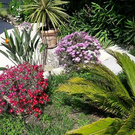 Villa Mas Lumineux Vue Sur Le Village Mougins